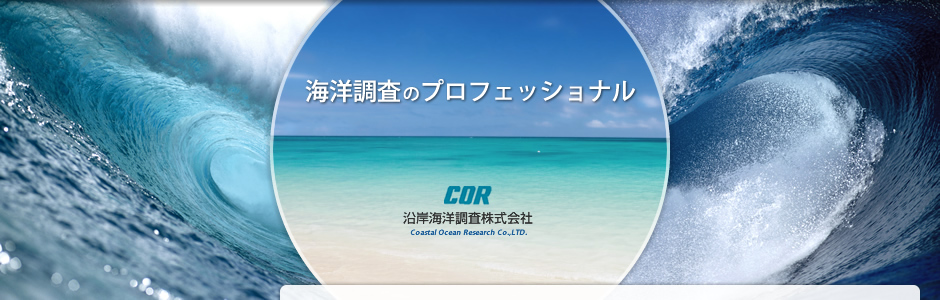 �C�m�����̃v���t�F�b�V���i��